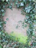 image of grave number 624800